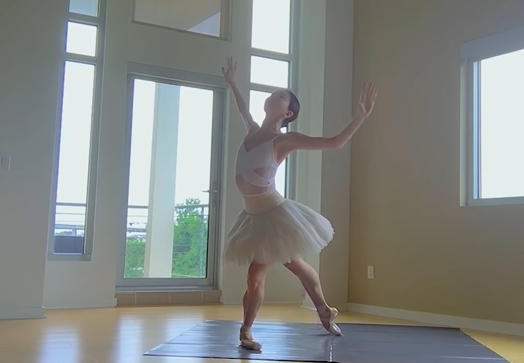 Swans-for-relief-ballerina