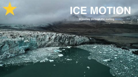 ice-motion