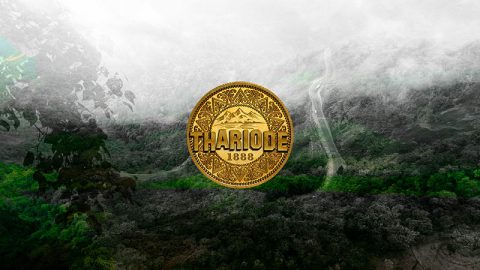 thariode documentary